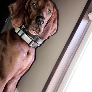 Meet your Posher, Kaytlen